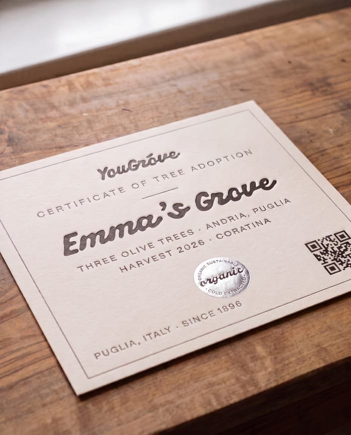 The embossed adoption certificate with its silver organic seal