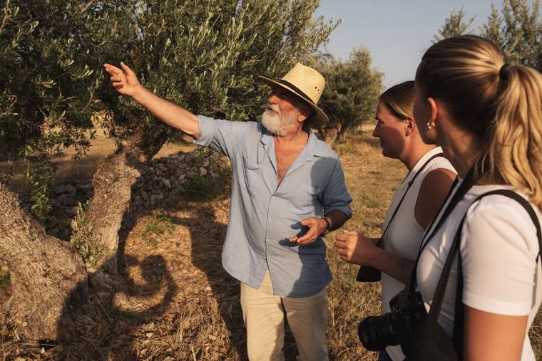 A farmer showing visitors an ancient olive tree in the grove